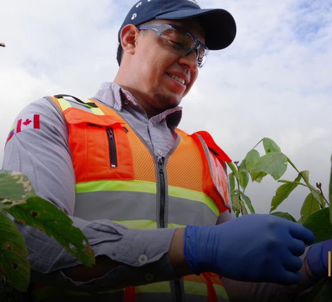 cuidado-del-ambiente-1